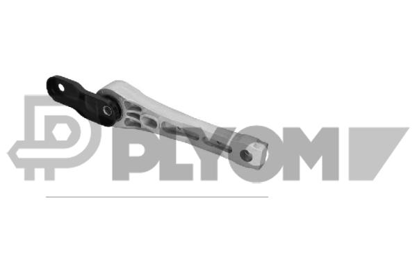 Mounting, engine (P756309)