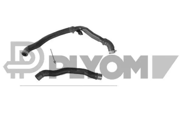 Radiator Hose (P773567)