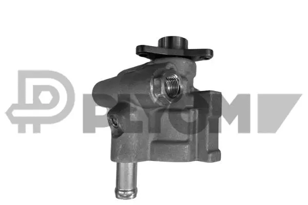 Hydraulic Pump, steering (P768316)