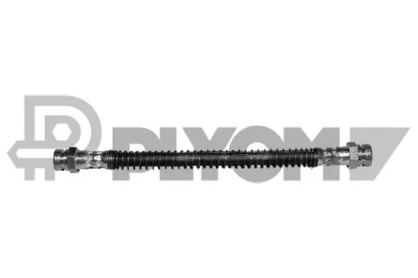 Brake Hose (P030005)