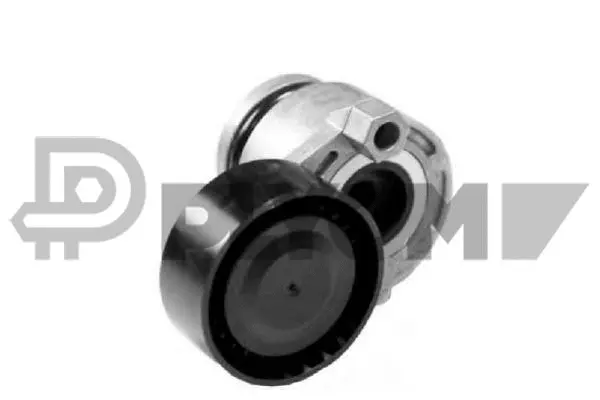 Belt Tensioner, V-ribbed belt (P021512)