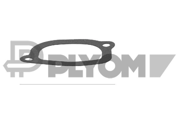 Gasket, thermostat housing (P767984)