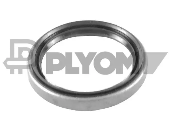 Shaft Seal, wheel hub (P758575)