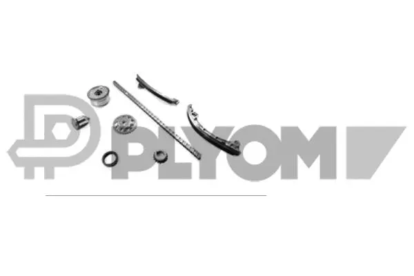 Timing Chain Kit (P774477)