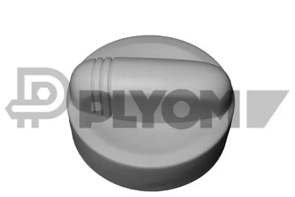 Sealing Cap, oil filler neck (P954138)