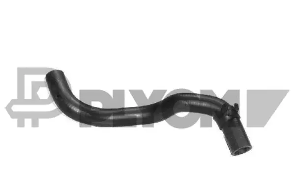 Radiator Hose (P026496)