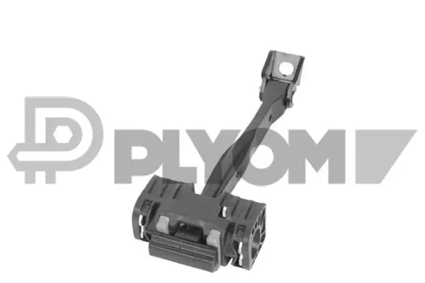 Door Check (P774435)