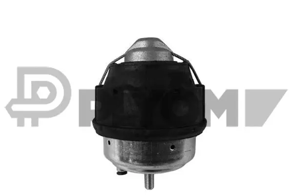 Mounting, engine (P250063)