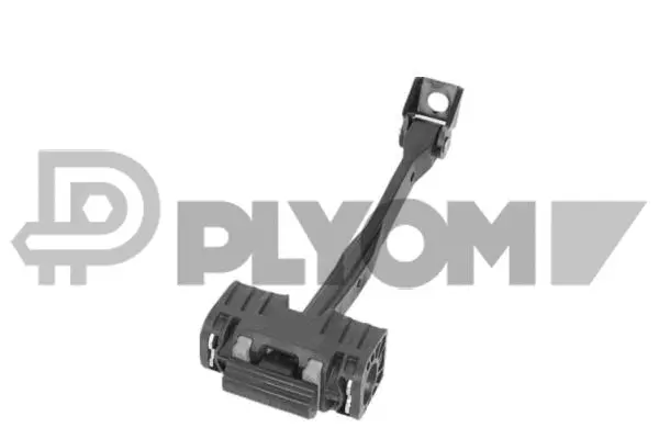 Door Check (P774434)