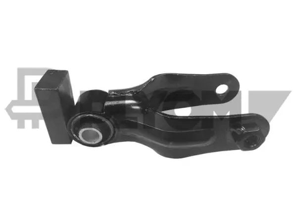 Mounting, engine (P756061)