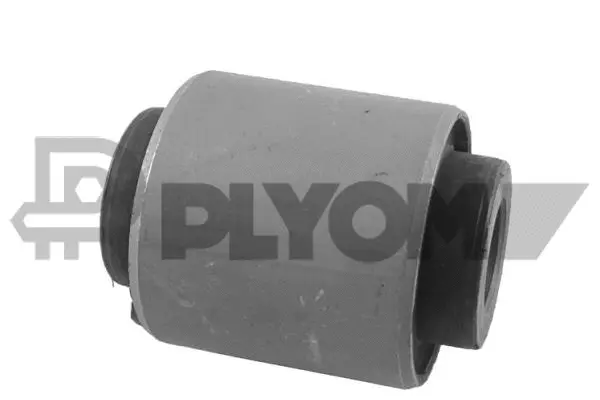 Bushing, axle beam (P759512)