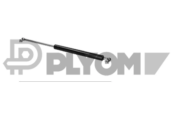 Gas Spring, boot/cargo area (P773445)