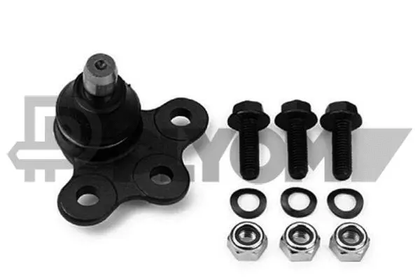 Ball Joint (P755009)