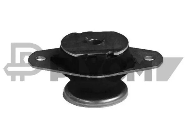 Mounting, engine (P011060)