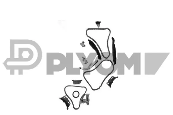 Timing Chain Kit (P752098)