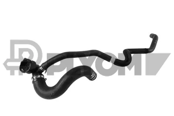 Radiator Hose (P753739)