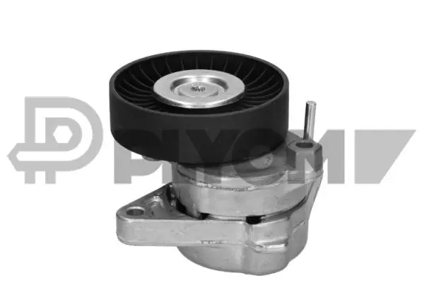 Repair Kit, v-ribbed belt tensioner (P180911)