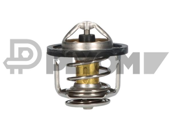 Thermostat, coolant (P756872)