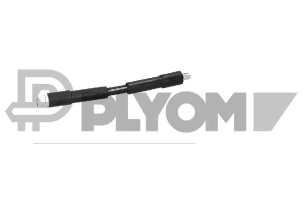 Brake Hose (P771401)