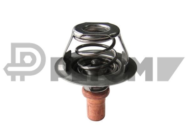Thermostat, coolant (P756889)