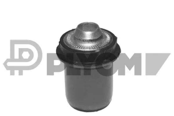 Bushing, axle beam (P021336)