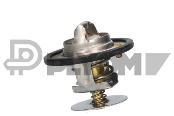 Thermostat, coolant (P756891)