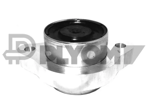 Mounting, control/trailing arm (P181147)