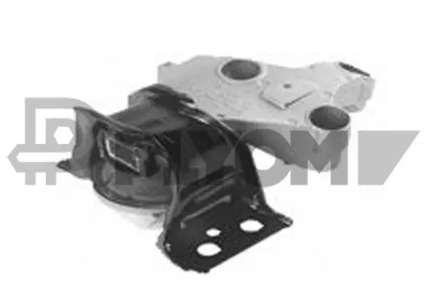 Mounting, engine (P021500)
