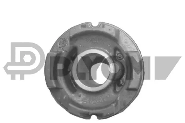 Bushing, axle beam (P750691)