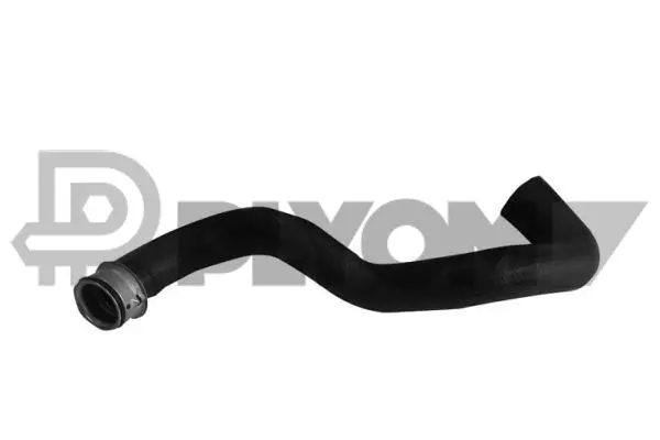 Radiator Hose (P753906)