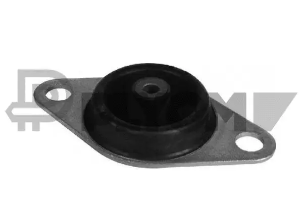 Mounting, engine (P010588)