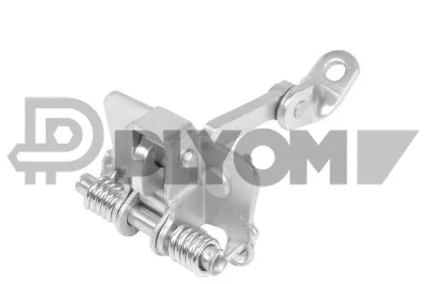 Door Check (P770720)