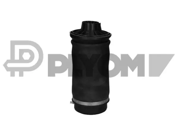 Air Spring, suspension (P753068)