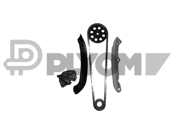 Timing Chain Kit (P462410)