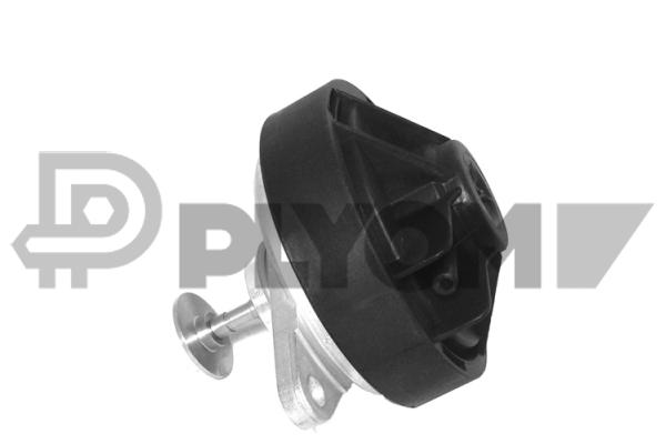EGR valve, exhaust control (P960022)