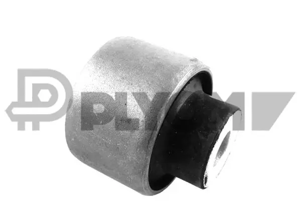 Bushing, axle beam (P759596)