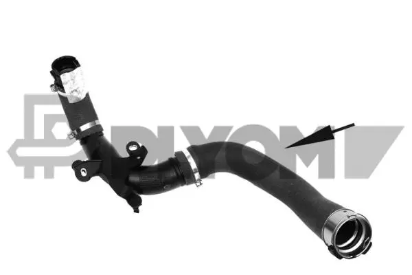 Charge Air Hose (P753037)