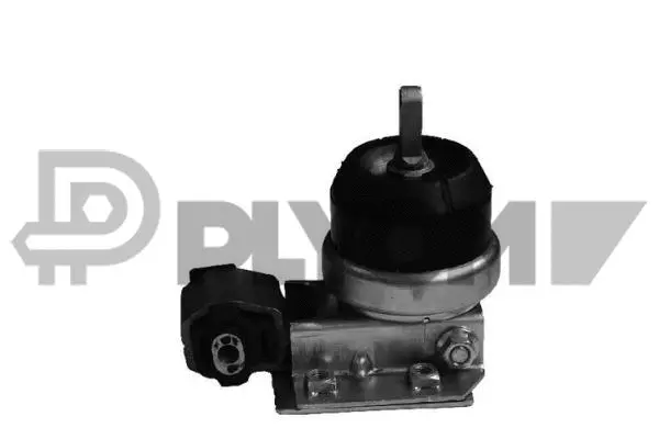 Mounting, engine (P755997)