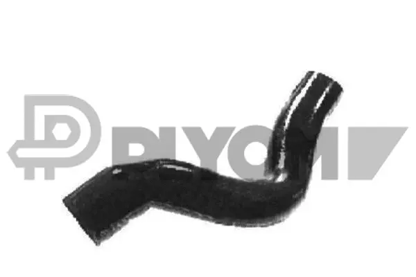 Radiator Hose (P021093)