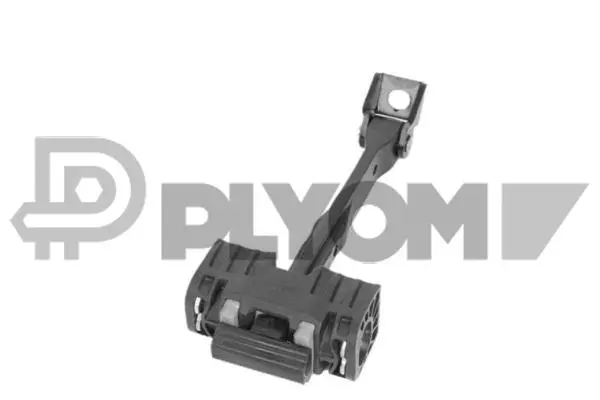 Door Check (P774432)