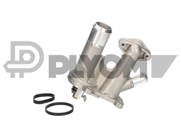 Thermostat, coolant (P756854)