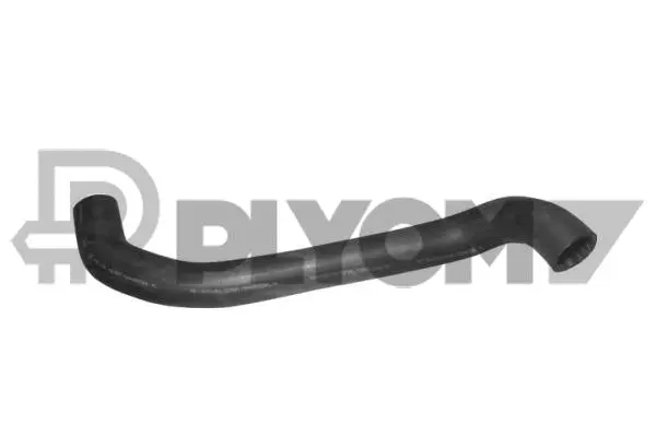 Radiator Hose (P016199)