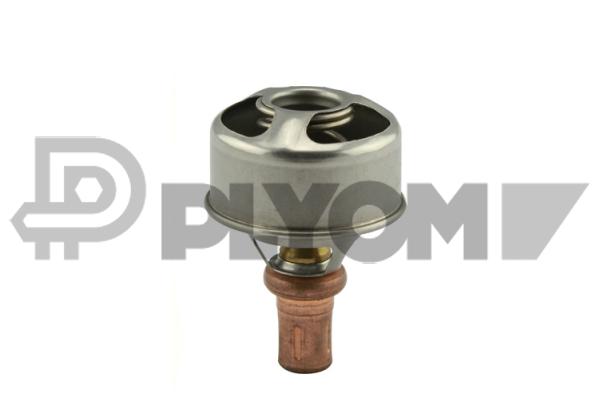 Thermostat, coolant (P756904)