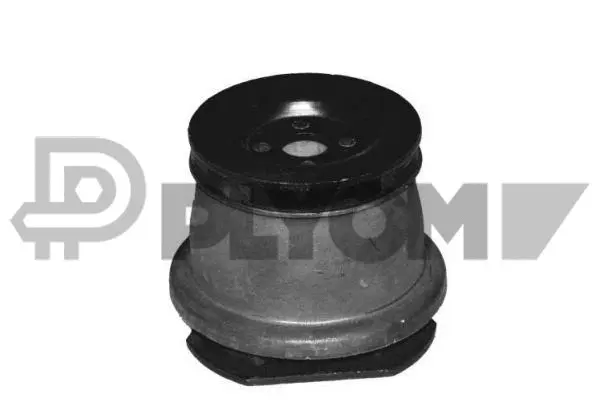 Bushing, axle beam (P755400)