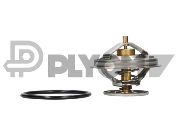 Thermostat, coolant (P756884)