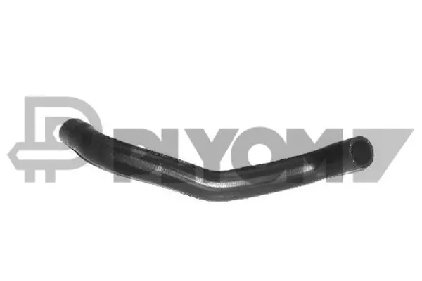 Radiator Hose (P026552)