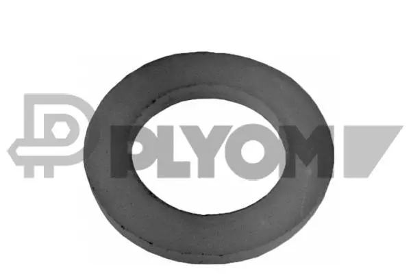 Seal Ring, oil drain plug (P952021)