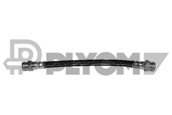 Brake Hose (P010022)