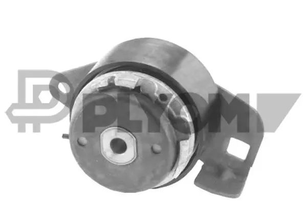 Tensioner Pulley, timing belt (P769714)
