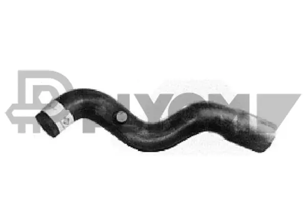Radiator Hose (P026272)